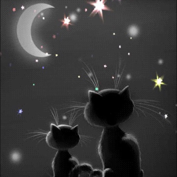 Meet your Posher, Misty - Picture 1 of 1